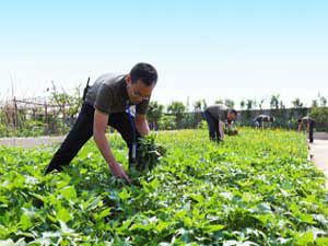 益陽(yáng)海川技術(shù)服務(wù)有限公司,湖南傳統(tǒng)電力服務(wù)